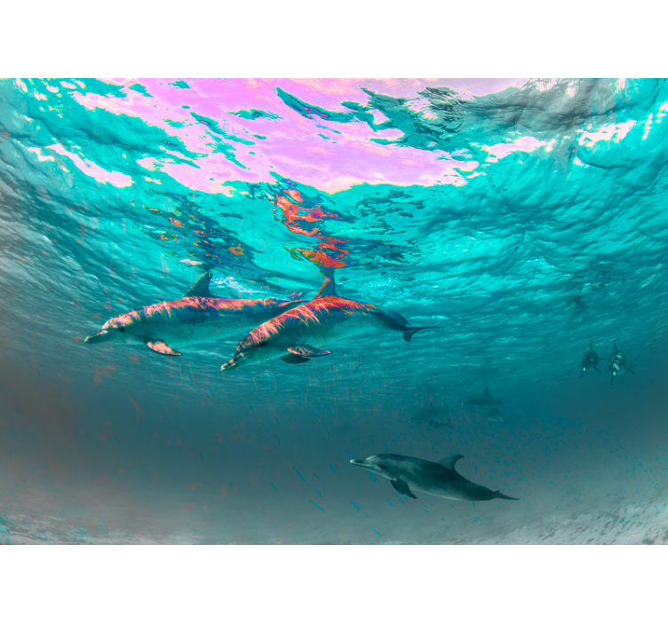 Dolphins swimming playfully fototapete z živalmi - TenStickers