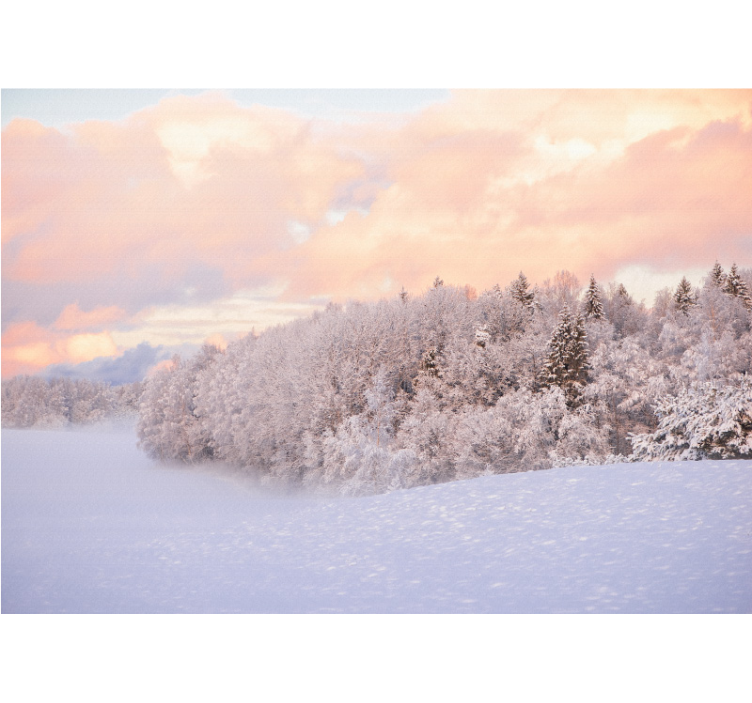 Snowy forest landscape fototapete narava - TenStickers