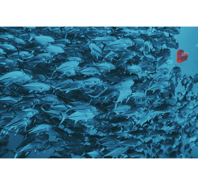 Underwater fish school fototapete z živalmi - TenStickers