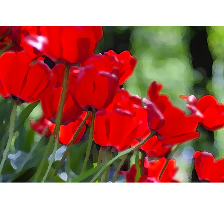 Vibrant red blooms fototapeta z makovimi cvetovi - TenStickers