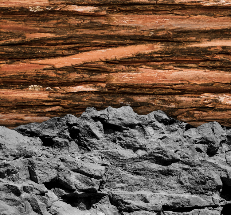 Les in kamenLes in kamen. Fototapete za dnevno sobo - TenStickers