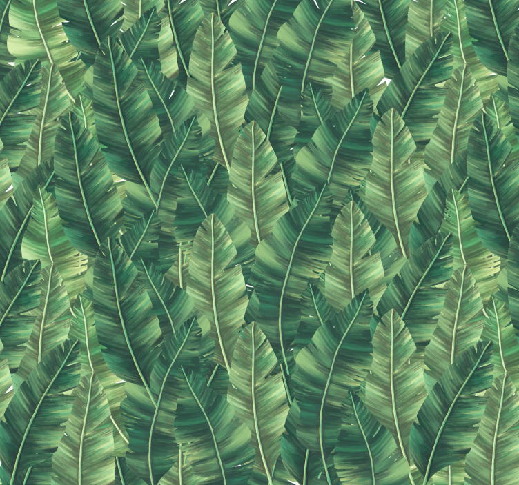 Velike liste Fototapete Narava - TenStickers