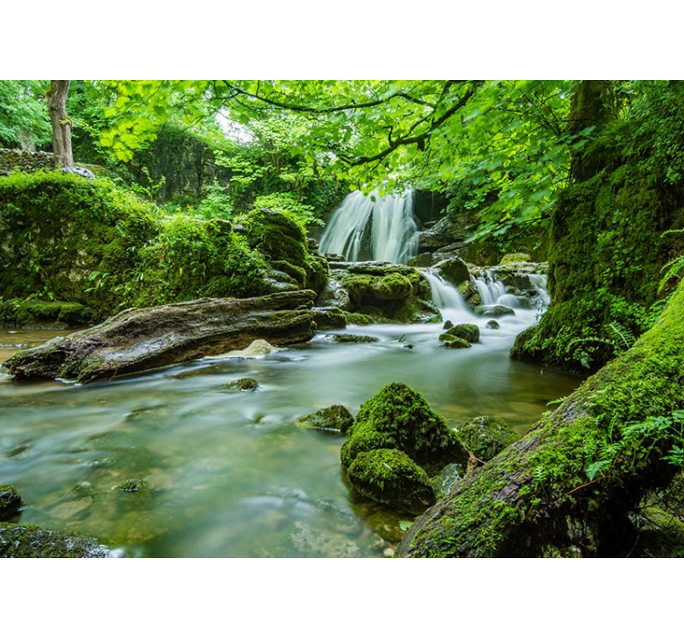 Lush waterfall serenity fototapete narava - TenStickers
