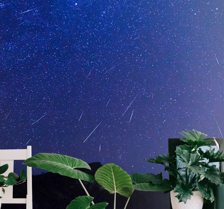 Celestial comets night fototapeta z gorami - TenStickers