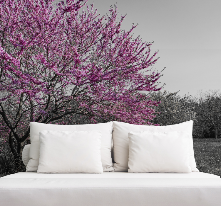 Cherry blossom tree fototapete cvetje - TenStickers