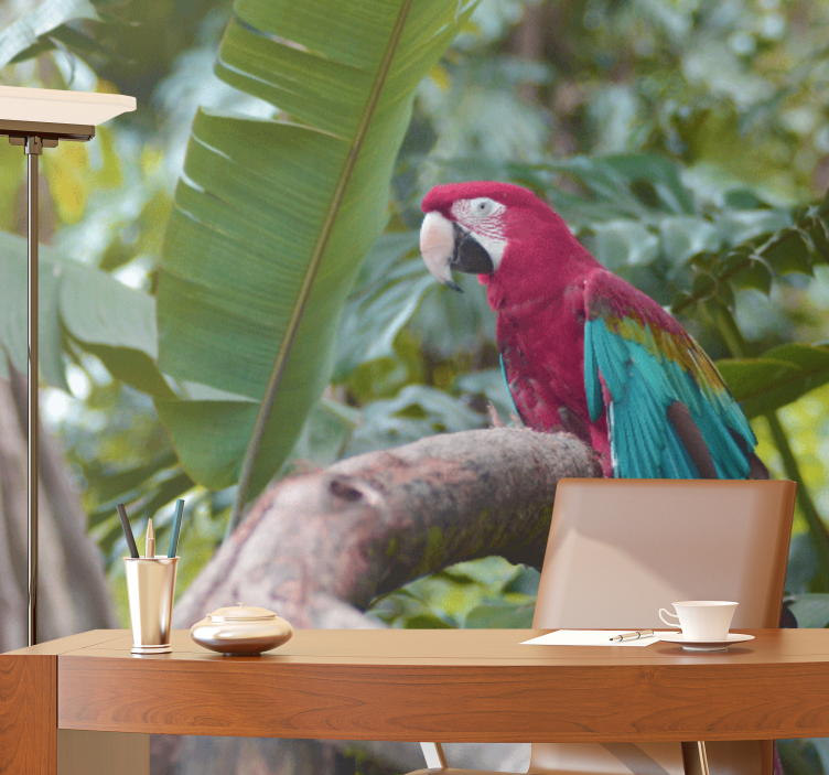 Colorful macaw parrot fototapete z drugimi živalmi - TenStickers