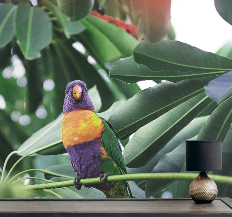 Colorful parrot perched fototapete z živalmi - TenStickers