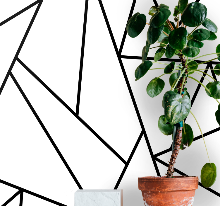 črne geometrijske črte stenske fototapetednevne sobe - TenStickers