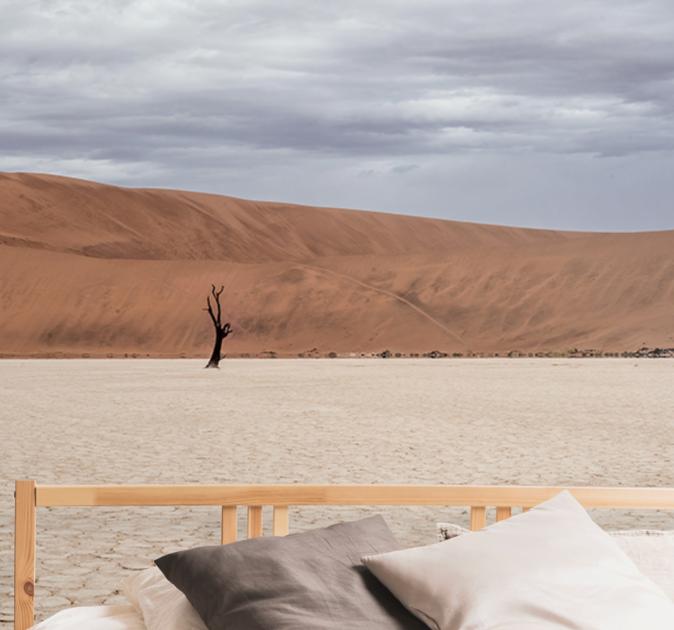 Desert scenery outlook fototapeta z gorami - TenStickers