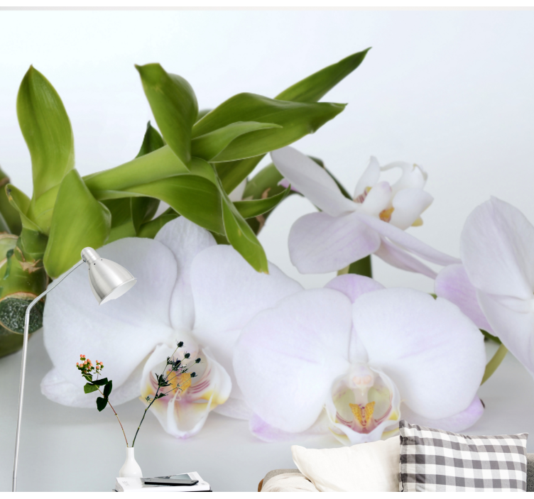 Elegant orchid arrangement fototapeta z orhidejami - TenStickers