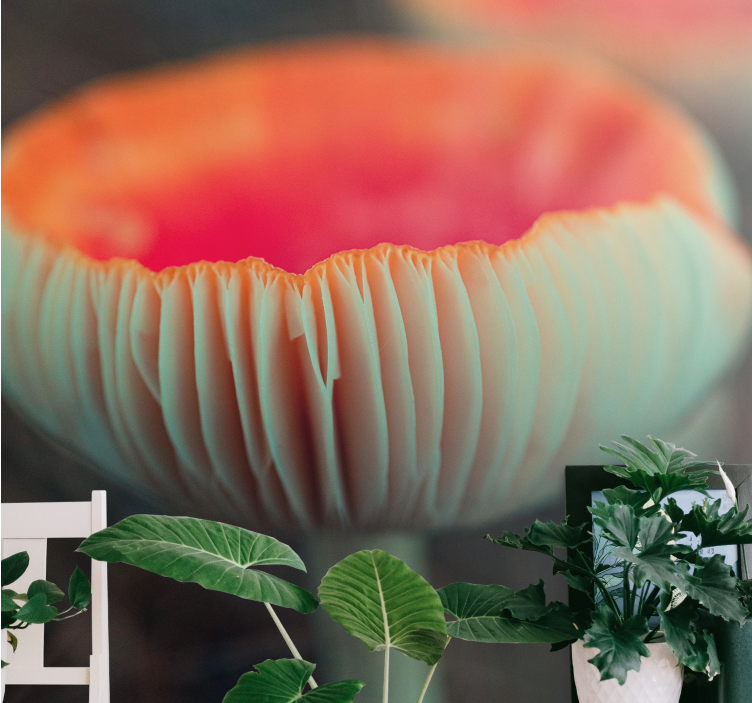 Elegant poppy blossom fototapeta z makovimi cvetovi - TenStickers