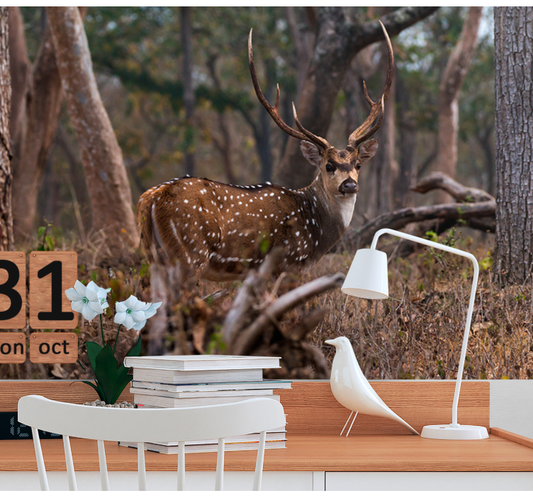 Elegant spotted deer fototapete z živalmi - TenStickers