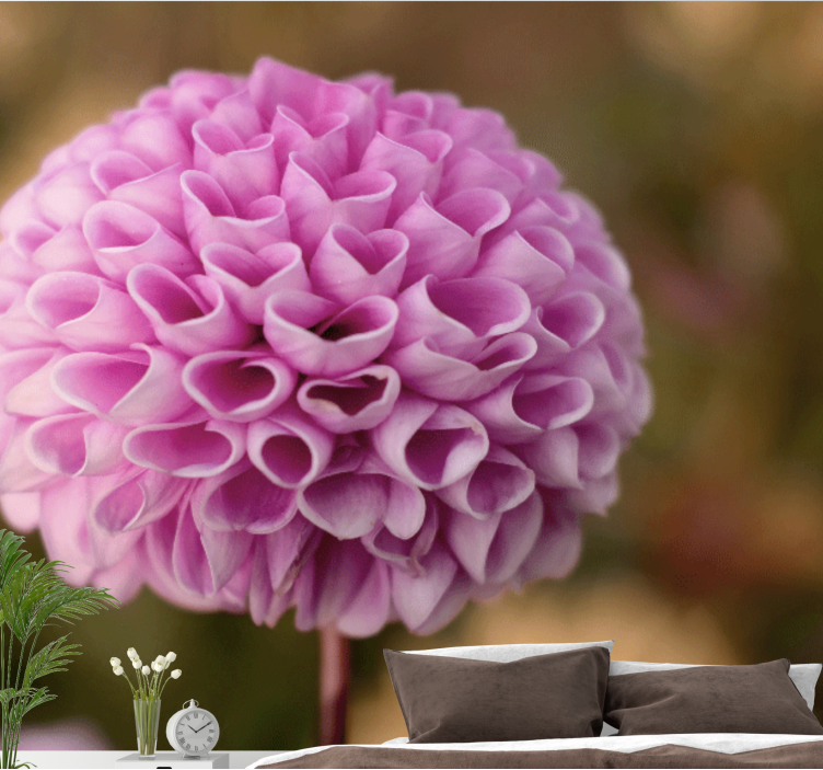 Fotografija elegantnega ljubezenskega srca roza tapeta - TenStickers