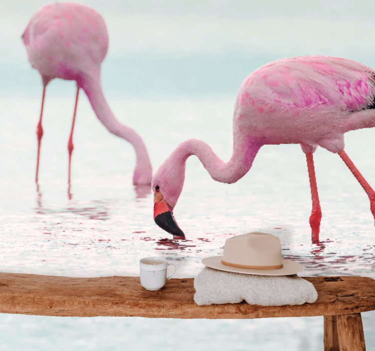 Flamingo feeding scene fototapete z živalmi - TenStickers