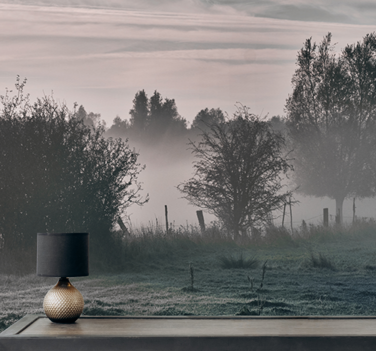 Foggy woodland landscape fototapete narava - TenStickers