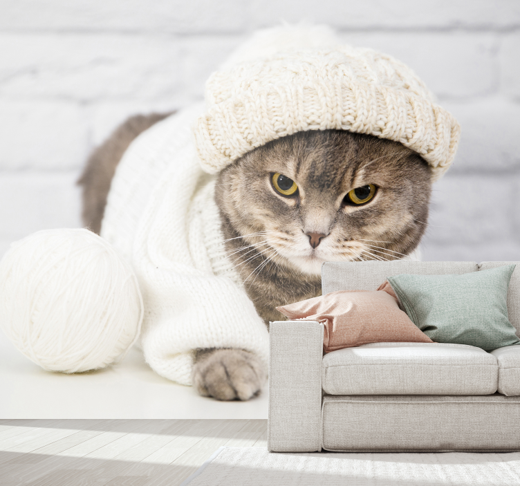 Fototapeta za fotosten srčkan rjavi maček - TenStickers