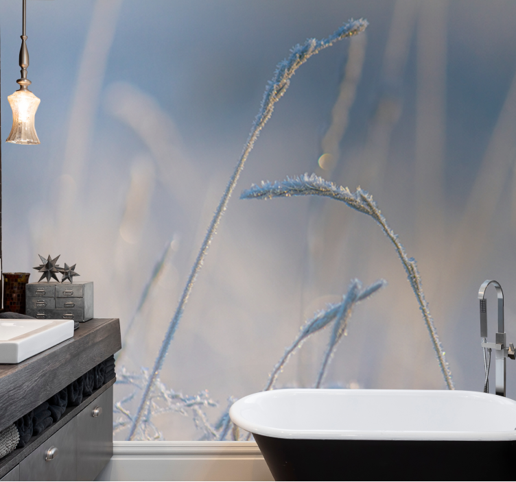 Frosty grass tips fototapete narava - TenStickers