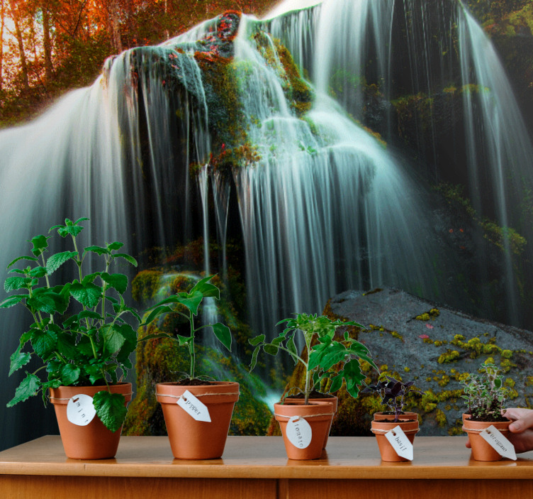 Gentle falling water slap fototapeta - TenStickers