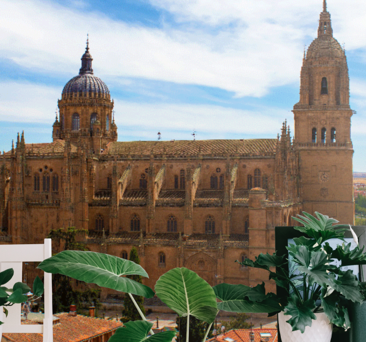 Historic cathedral view fototapete madrid - TenStickers