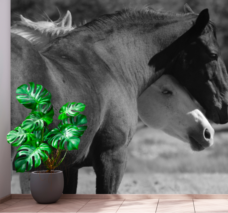 Horse companionship fototapete z živalmi - TenStickers