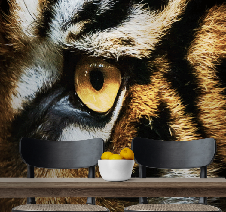 Intenziven tigrasti pogled Fototapete z živalmi - TenStickers