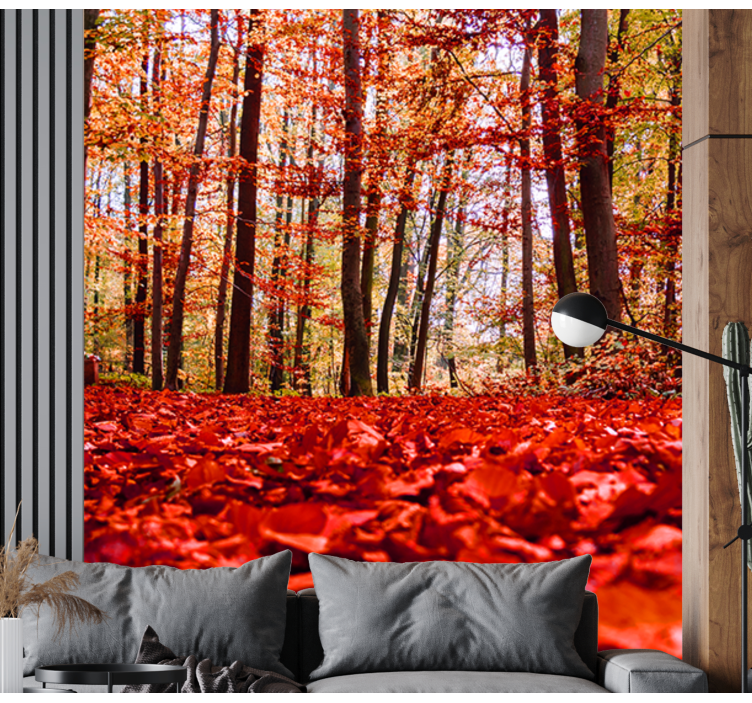 Jesenska listna krošnja Fototapeta Gozd - TenStickers