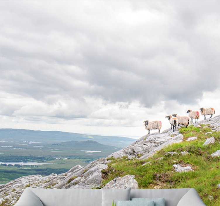 Lambs on slopes in druge živalske fototapete - TenStickers
