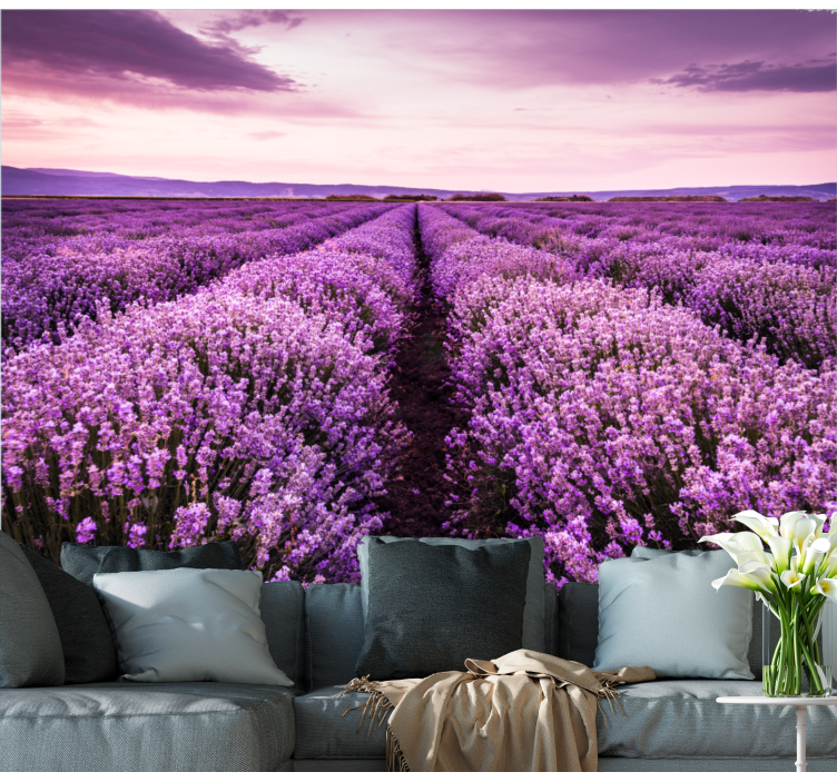Lavender meadow tranquility fototapete cvetje - TenStickers