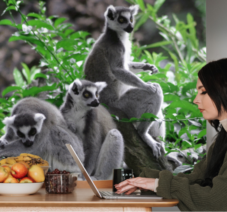 Stenska poslikava divjih živali lemurji madagaskar afrika - TenStickers