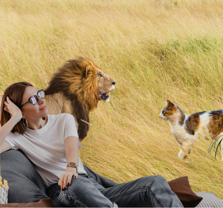 Lion encounter with cat fototapeta z levom - TenStickers
