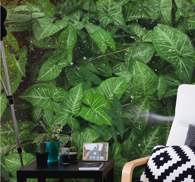 Lively leaf composition fototapete narava - TenStickers