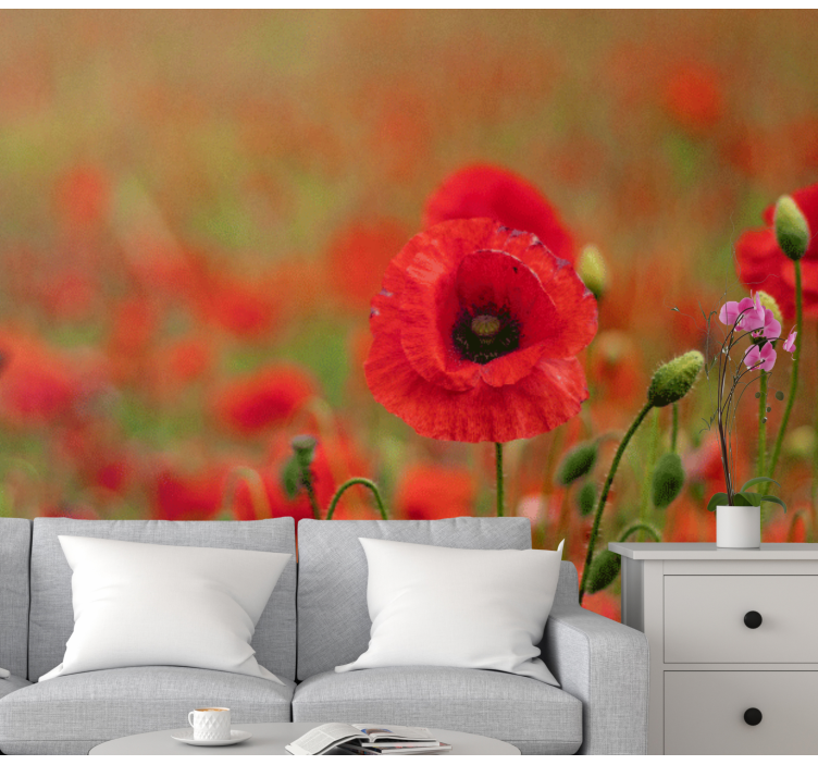 Lively poppy blossoms fototapeta z makovimi cvetovi - TenStickers