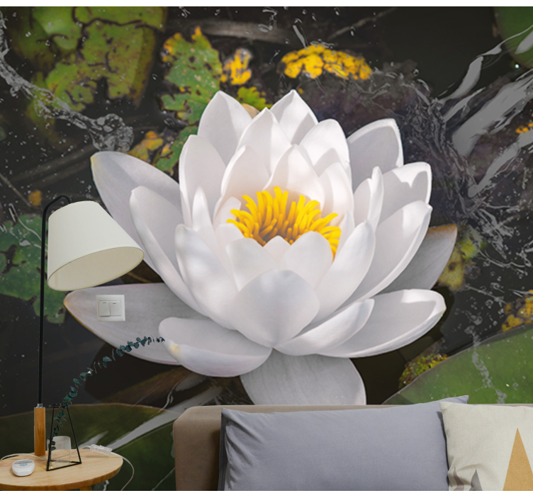 Lotus flower serenity fototapete cvetje - TenStickers