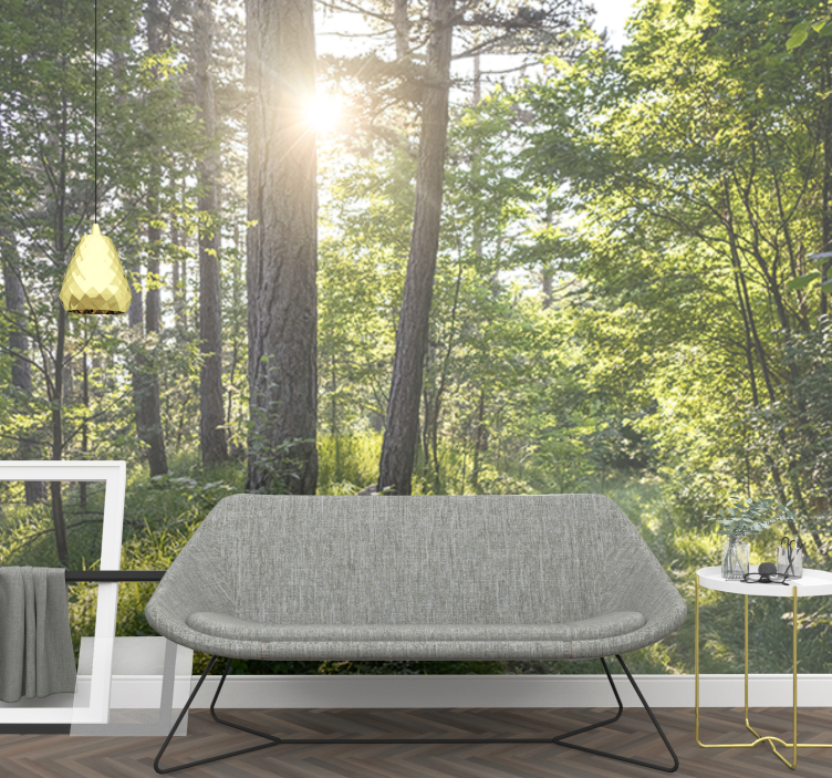 Luminous forest path fototapete narava - TenStickers