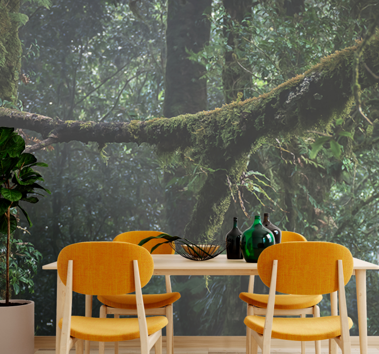 Lush greenery treetops fototapeta gozd - TenStickers