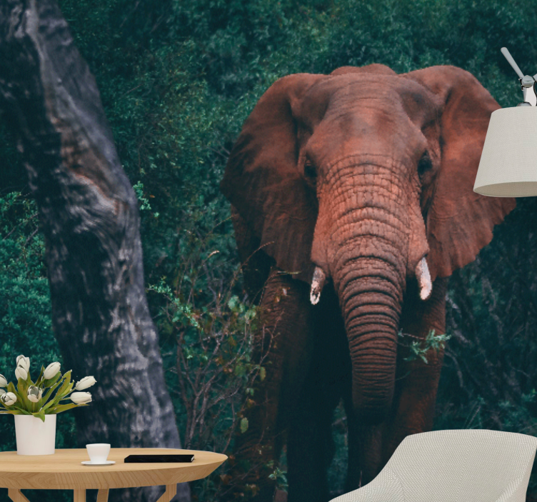 Majestic elephant presence fototapete z živalmi - TenStickers