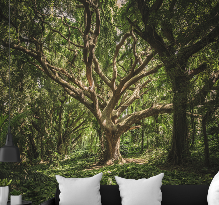 Majestic forest canopy fototapeta gozd - TenStickers