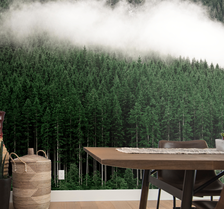 Majestic forest scenery fototapete narava - TenStickers