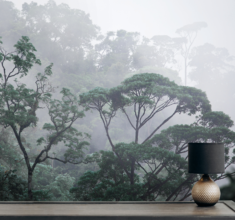 Misty forest scenery fototapeta gozd - TenStickers