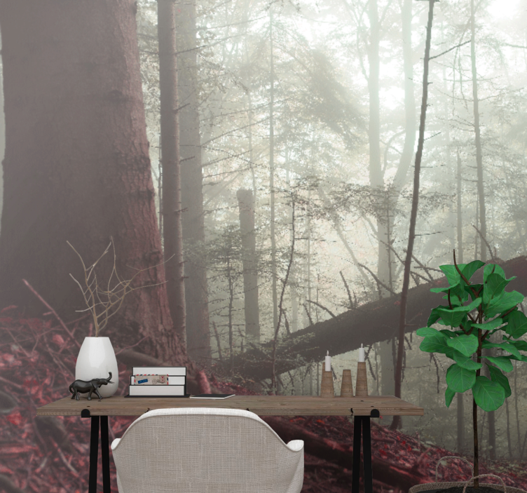 Misty woodland view fototapeta gozd - TenStickers