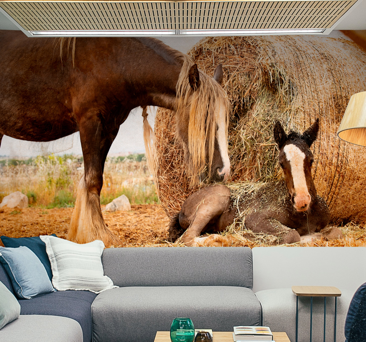 Mladi konj s stensko steno v naravi - TenStickers