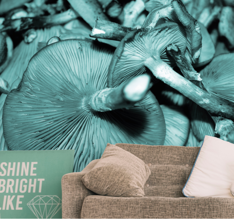 Mushroom bunch fototapete narava - TenStickers