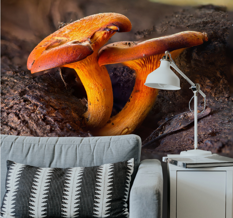 Mushroom nature scene fototapeta gozd - TenStickers