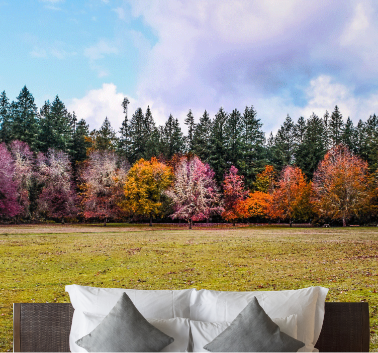 Narava zunanji park poroka stenske fototapete - TenStickers