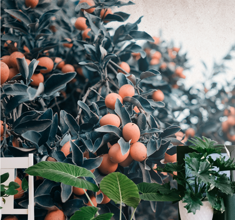 Oranžni sadeži na steni v dnevni sobi - TenStickers