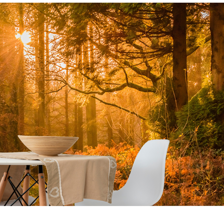 Osvetljena gozdna pokrajina Fototapete Narava - TenStickers