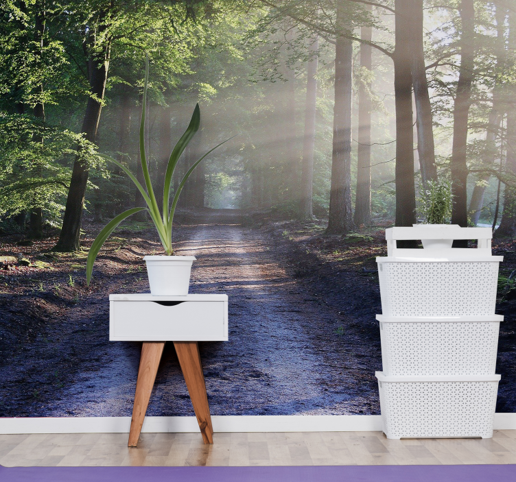 Osvetljena gozdna pot Fototapeta Gozd - TenStickers