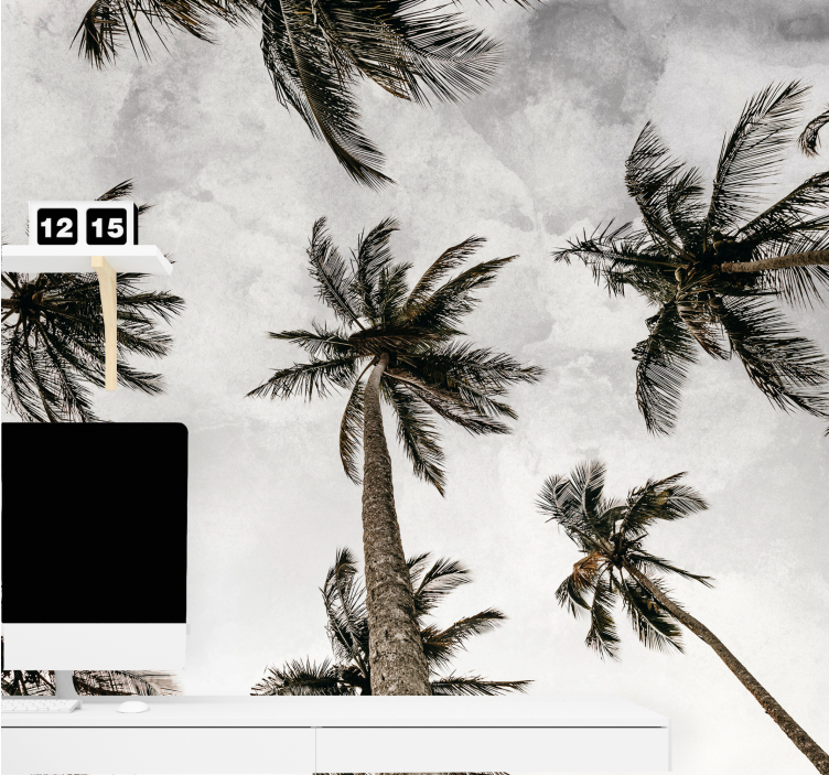 Palm tree canopy fototapete narava - TenStickers