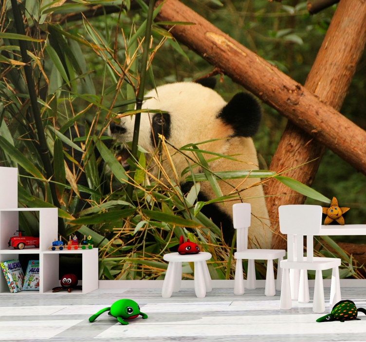 Panda med bambusom Fototapete z živalmi - TenStickers