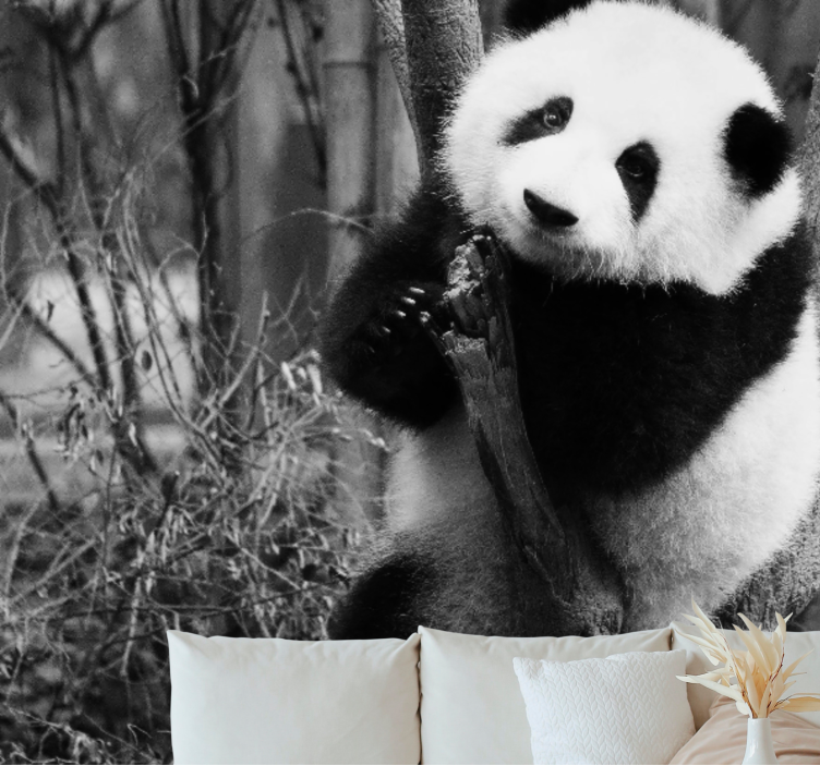 Panda na drevesu fototapete z živalmi - TenStickers